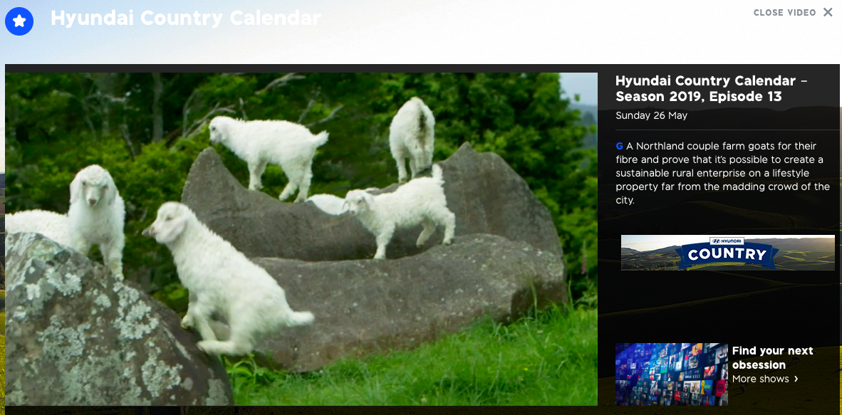 Screen Shot 2019-05-26 at 7.37.09 PM