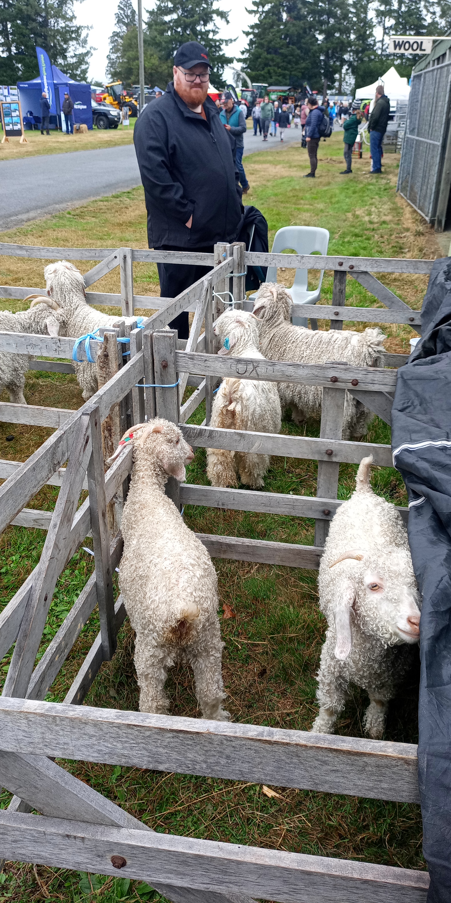 IMG_20240330_104914_262